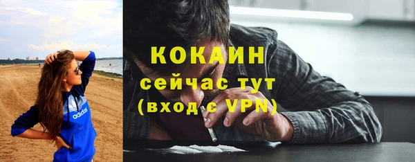 прущие грибы Верея
