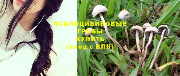 mdpv Верхний Тагил