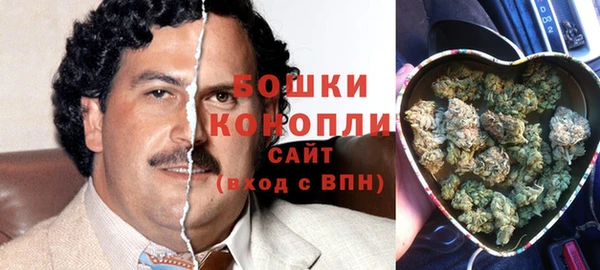 прущие грибы Верея