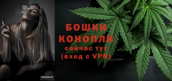 шишки Волосово