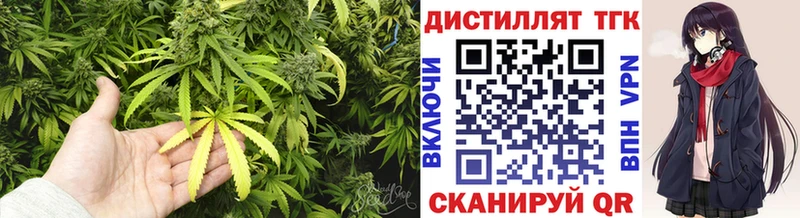 цены   Енисейск  ТГК концентрат 